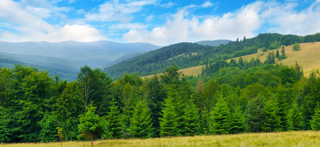 山坡隐形树和天空中的云层位置是喀尔巴阡乌黑欧洲宽阔的照片背景图片
