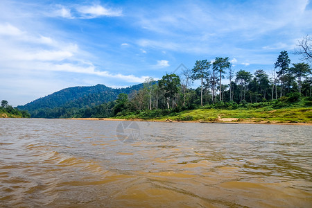 塔曼尼加拉公园马来西亚塔曼尼加拉公园的河流和丛林高清图片
