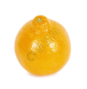 白色背景上孤立的橙色吃高清图片素材