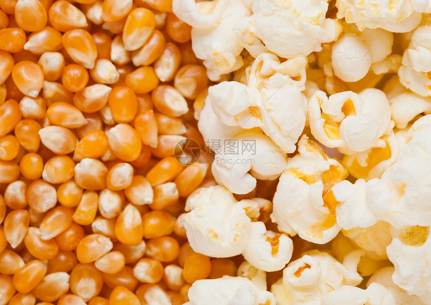鲜金甜玉米和爆花种子图片