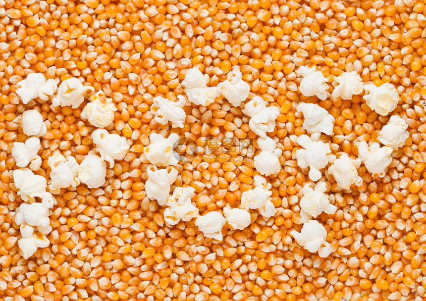 鲜金甜玉米种子用爆花制成的单词流行图片