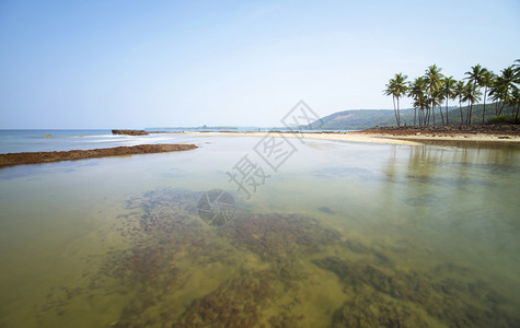 沙滩的背水马哈拉施特印地亚的马哈拉施特邦的马哈施特邦图片