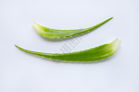 aloevra是一家受欢迎的药用植物于健康和美貌白色背景背景图片