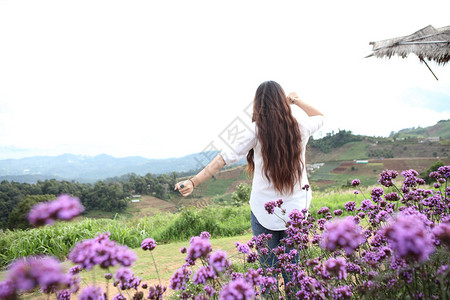 花丛中的背影女孩图片