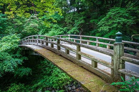 日式植物园中传统的日本木桥的Niko日本的Nikpan图片