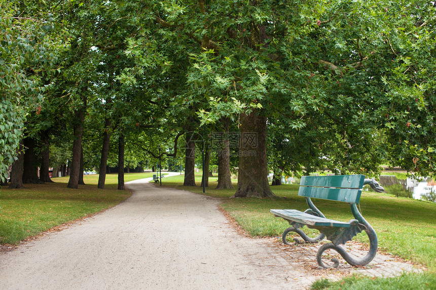 比利时橡树下的公园木制长凳橡树下的公园木制长凳图片