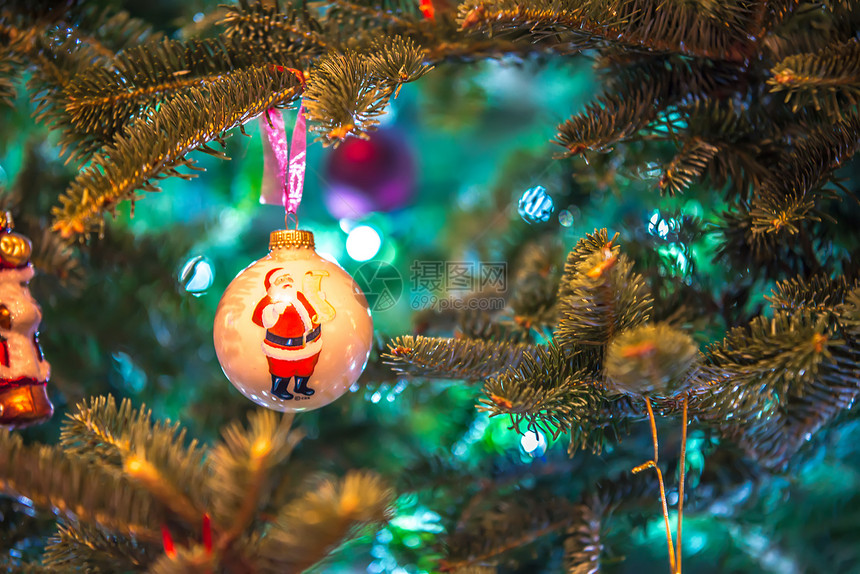 为节假日装饰的圣诞活树图片
