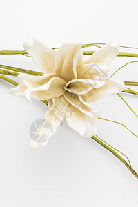 优雅的春花白色背景的假花婚礼背景图像图片