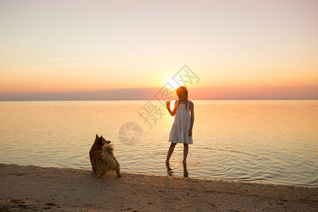 女孩带着狗在海散步图片