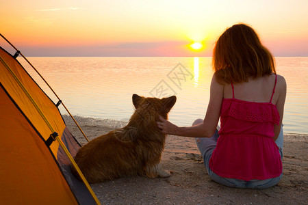 女孩和宠物一起看日落背景图片