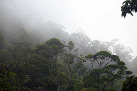 巴西里约在布拉齐尔的Rio附近背景