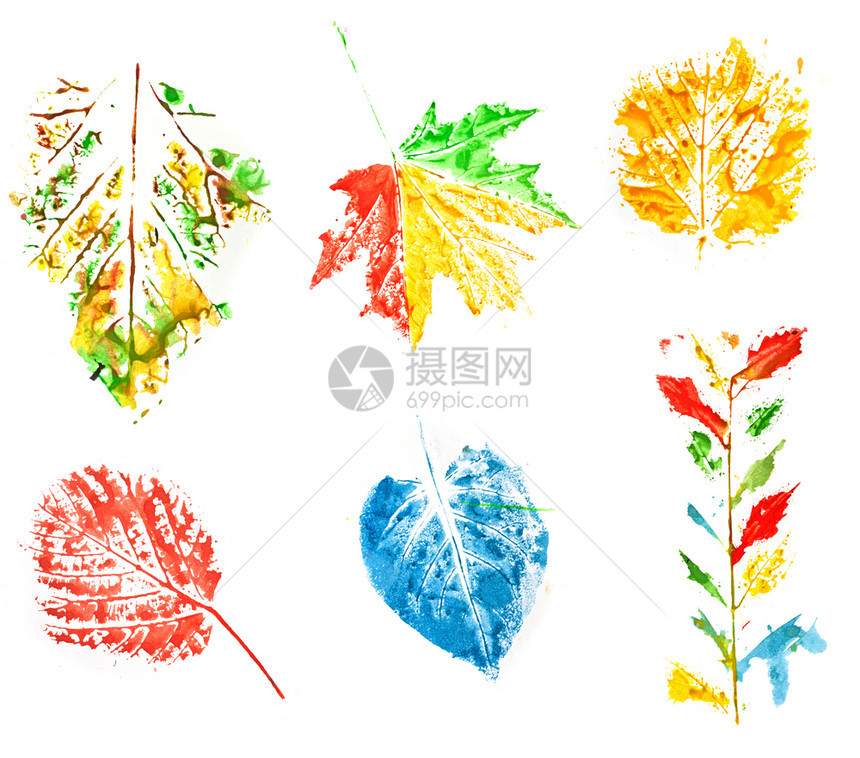 秋季落叶的一组多彩色油漆印图片