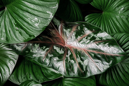 绿色热带叶的树图示形艺术背景图片