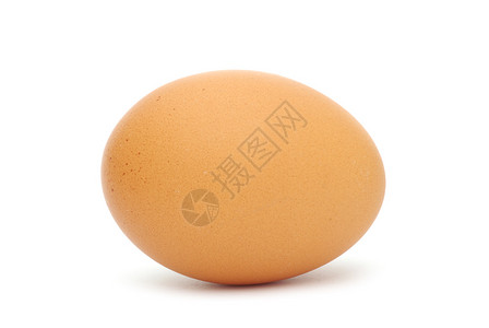 白色背景上孤立的棕色蛋背景图片