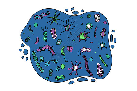细菌病毒微生物图集高清图片