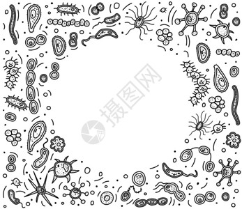 孝顺益海报细菌胞框架横幅微生物收集彩色本矢量涂鸦样式组成插画
