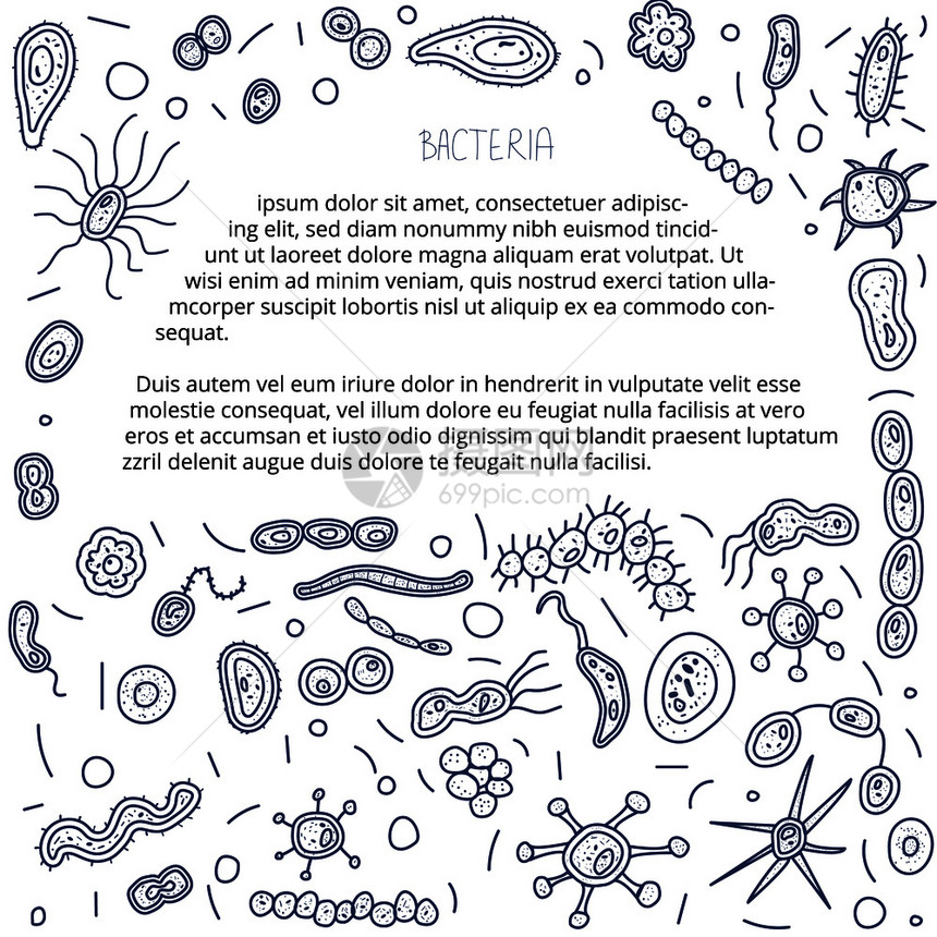 细菌胞组成有框架微生物收集背景矢量图案横幅图片