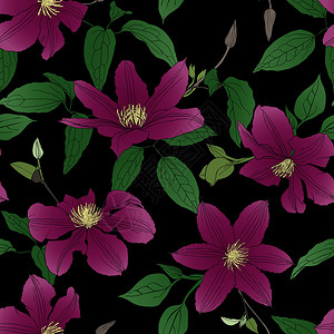 浪漫紫色花朵矢量背景图片