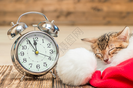 小猫咪睡在闹钟旁边的圣塔帽里概念高清图片素材