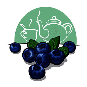新鲜蓝莓插图图片