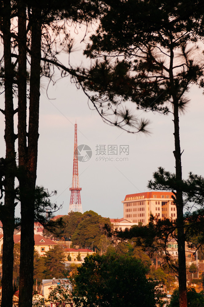 dalt市的住宅楼和电视无线杆在夜光下通过松林著名的vietnam高地区图片