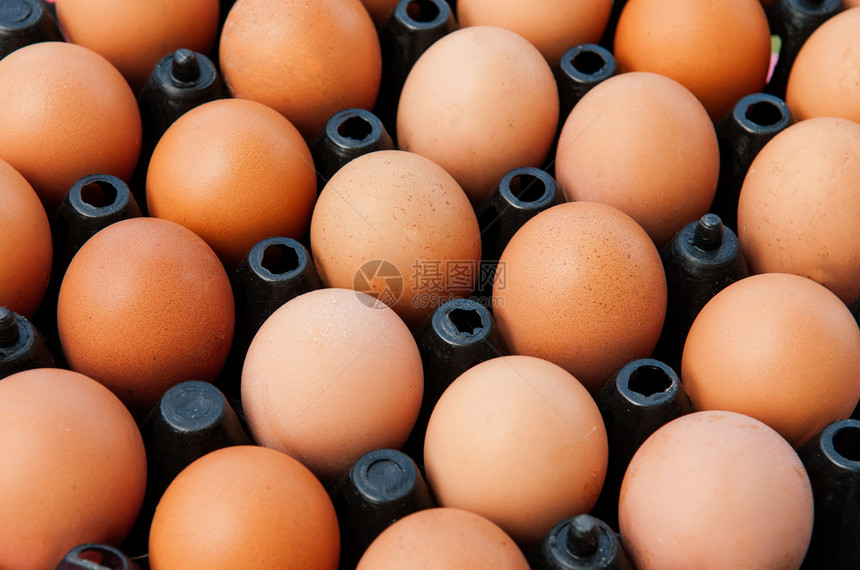 黑塑料盒中的棕色鸡蛋关闭侧面顶端视图镜头有机农场新鲜产品图片