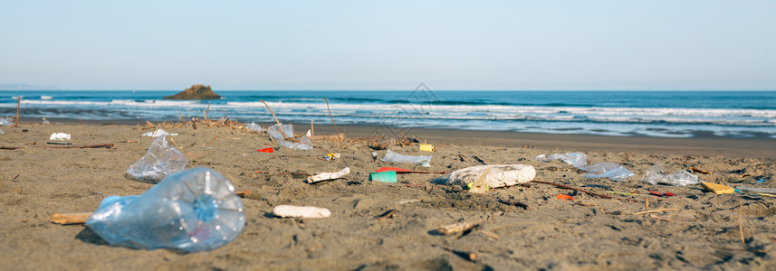 你是个什么垃圾满是垃圾的海滩景观满是垃圾的肮脏海滩景观背景