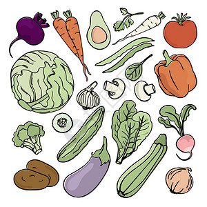 素食营养古白质天然饮食矢量插图图片