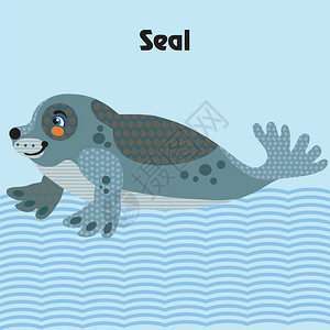 海豹手绘插画图片