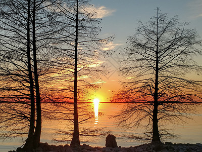 日落时南卡罗利纳的蒙蒂切水库乔卡斯高清图片素材