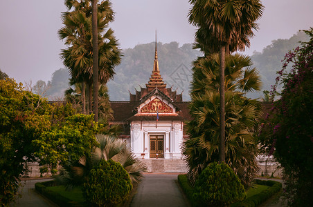 apr42019luangprbnglosngprbng皇家宫殿博物馆和平的上午在棕榈树中间的主要建筑背景图片