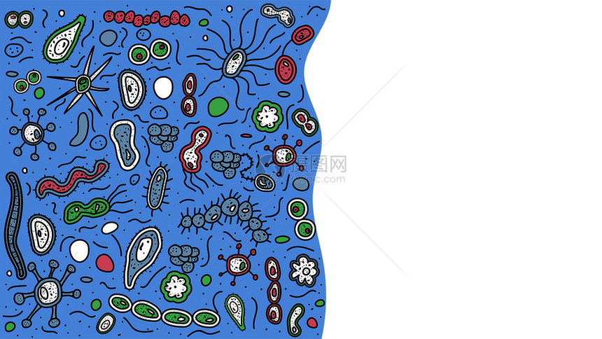 含有文本空格的细菌胞条微生物收集矢量dole样式组成图片