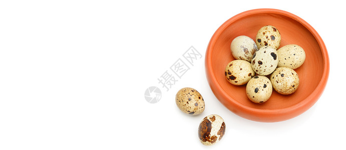 隔着白色背景的碗中guail蛋免费的文本空间宽广的照片图片