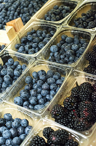 在市场上的架子放着蓝莓水果在透明塑料箱中分类图片