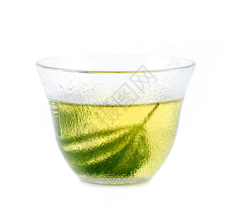 药草茶杯绿色高清图片素材