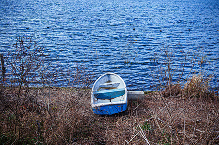 旧的破船被困在川口子湖岸上有干草和树枝图片