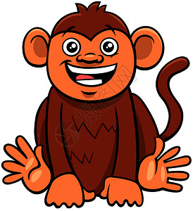 可爱有趣的猴子灵长类动物图片