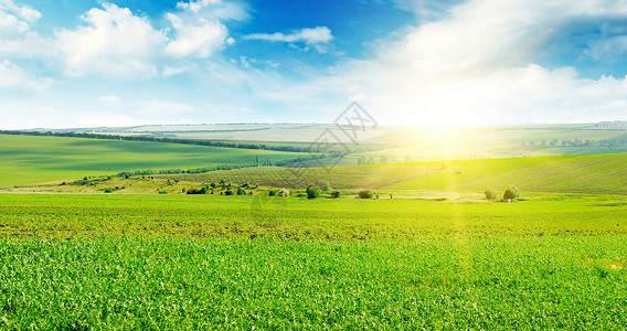 绿色的田野和蓝天空有光云地平线上是明亮的日出农业景观宽广的图片国家高清图片素材