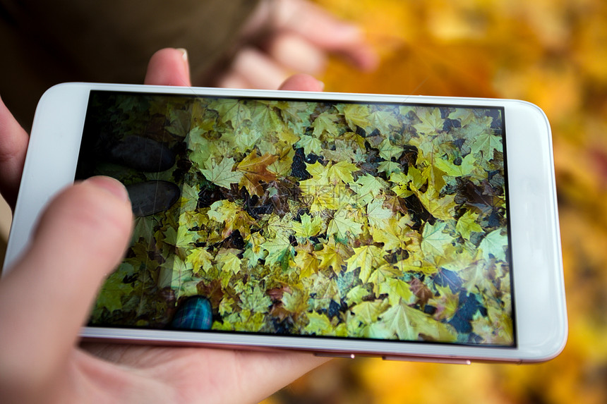 秋的情绪女孩在智能手机的秋月叶上拍照图片