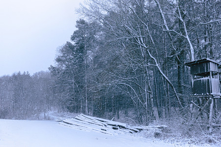 冬季风景被雪覆盖的树木和农田图片
