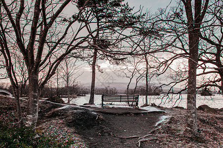 寒冷的冬里有无叶树和木板凳有北海道和日本高清图片