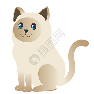 可爱的卡通小猫抽象的kawi猫咪设计插图图片