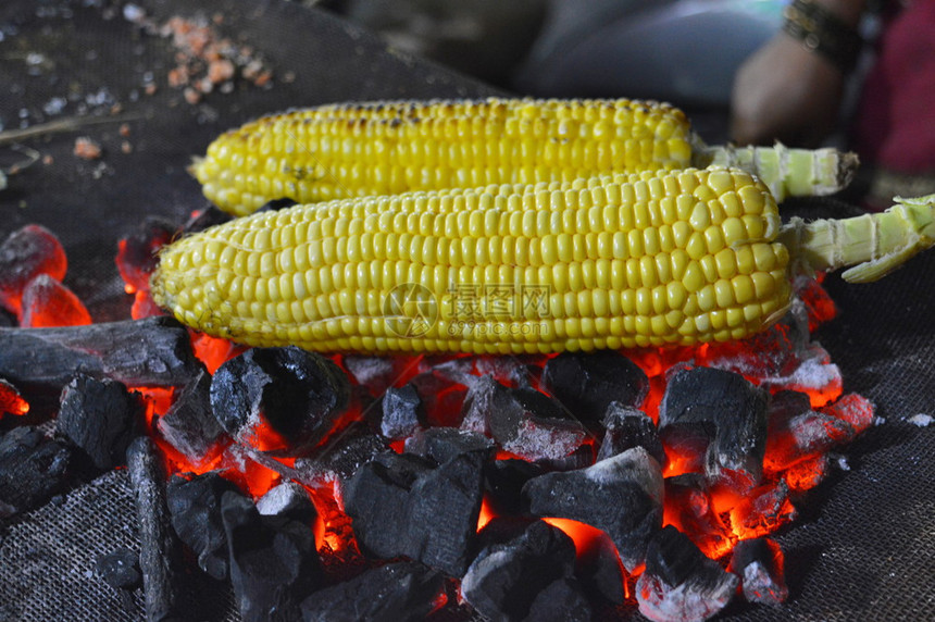 煤火烧烤的玉米图片