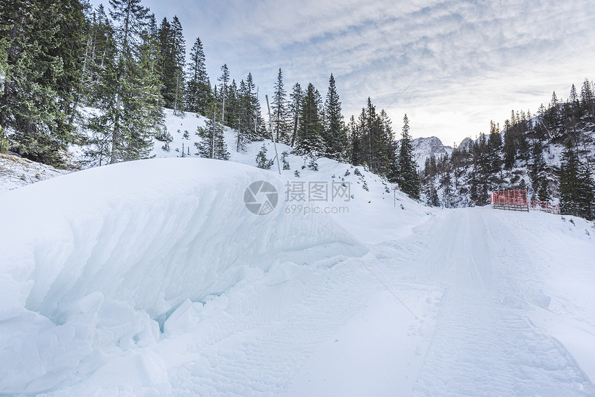 冬季风景包括雪林覆盖的山路和边雪堤图片