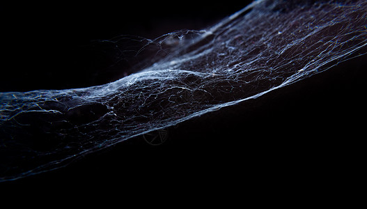 黑背景的蜘蛛网或幽灵般的高清图片素材