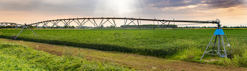 农业用地灌溉喷洒器日落全景图像农场绿色植物图片