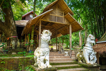 泰国清迈华宫神龙像泰国清迈瓦特帕拉德寺的白色雕像高清图片