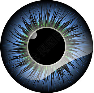 眼睛标识10人类眼睛的病媒说明背景