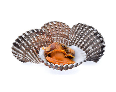 海鲜贝壳食物高清图片素材