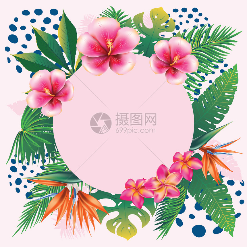 热带叶子花朵花环设计图片